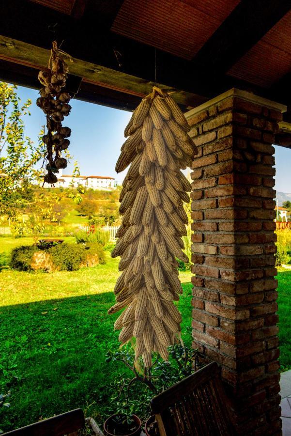 Maxi Sonce, Odprte Vasi Villa Prvacina Bagian luar foto
