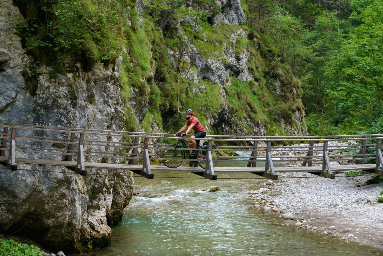 Maxi Sonce, Odprte Vasi Villa Prvacina Bagian luar foto